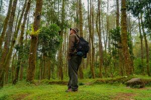 Asian man in adventure outfit in dense and green pine forest area. An adventurer in a flannel shirt, bucket hat, and backpack poses against a backdrop of dense pine trees. photo
