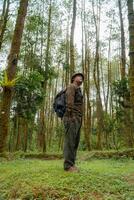 Asian man in adventure outfit in dense and green pine forest area. An adventurer in a flannel shirt, bucket hat, and backpack poses against a backdrop of dense pine trees. photo