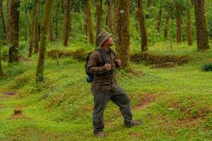 Asian man in adventure outfit in dense and green pine forest area. An adventurer in a flannel shirt, bucket hat, and backpack poses against a backdrop of dense pine trees. photo