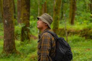 Half-body close-up of an adventurer in a dense and green pine forest. An Asian male traveler in a flannel shirt, bucket hat and backpack poses against a backdrop of dense pine trees. photo
