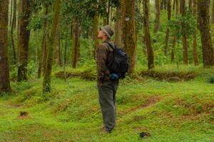 Asian man in adventure outfit in dense and green pine forest area. An adventurer in a flannel shirt, bucket hat, and backpack poses against a backdrop of dense pine trees. photo