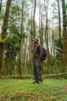 Asian man in adventure outfit in dense and green pine forest area. An adventurer in a flannel shirt, bucket hat, and backpack poses against a backdrop of dense pine trees. photo