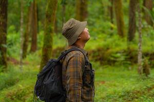 Half-body close-up of an adventurer in a dense and green pine forest. An Asian male traveler in a flannel shirt, bucket hat and backpack poses against a backdrop of dense pine trees. photo