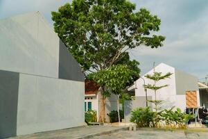 A public housing complex for underprivileged people that is small in size but has aesthetic shapes and colors, and the environment is comfortable photo