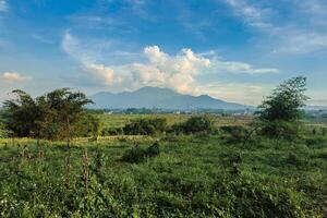 Beautiful panorama of the mountain from a distance with a large grassy area in the foreground. Landscape view of a mountain with a cloudy blue sky and green grass and trees in the foreground photo