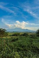 Beautiful panorama of the mountain from a distance with a large grassy area in the foreground. Landscape view of a mountain with a cloudy blue sky and green grass and trees in the foreground photo