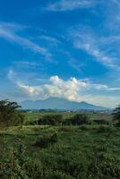 Beautiful panorama of the mountain from a distance with a large grassy area in the foreground. Landscape view of a mountain with a cloudy blue sky and green grass and trees in the foreground photo