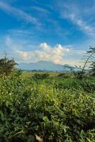 Beautiful panorama of the mountain from a distance with a large grassy area in the foreground. Landscape view of a mountain with a cloudy blue sky and green grass and trees in the foreground photo