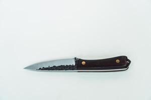 Close up of an adventure and bushcraft knife using a wooden handle. Knife with a sharp stainless steel blade with a wooden handle, perfect for outdoor adventures and bushcraft activities photo