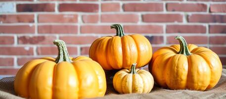 Four Pumpkins On Rustic Burlap Against Brick Wall photo
