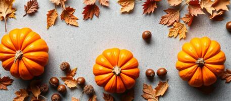 Autumnal Pumpkins and Leaves photo