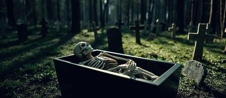 Skeleton in a Coffin in a Graveyard photo