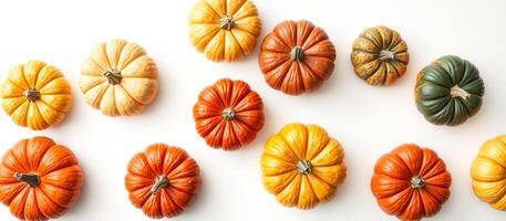 Assorted Pumpkins on White Background photo