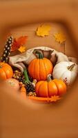 Autumnal Pumpkin Display in a Rustic Setting photo