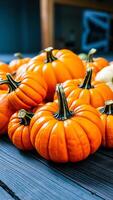 Pumpkins on a Blue Wooden Table photo