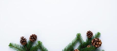 Pine Cones and Evergreen Branches on White Background photo
