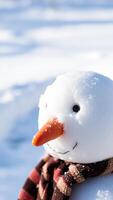 Close Up of Snowman's Face photo