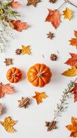 Autumnal Pumpkin and Leaf Still Life photo