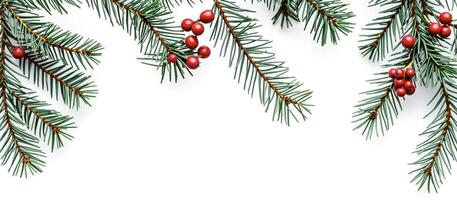 Christmas Tree Branch with Red Berries photo