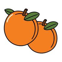 Two oranges on a white background vector