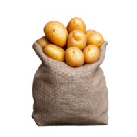 Freshly harvested golden potatoes in a burlap sack on transparent background png