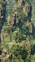 A majestic mountain landscape with trees clinging to its rocky surface video
