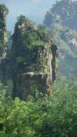 A dense forest with towering rocks and majestic trees video