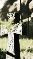 time-worn cross marking a sacred spot in the rainforest video