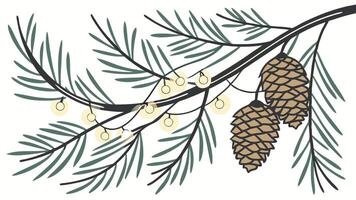 A branch with pine cones and needles vector