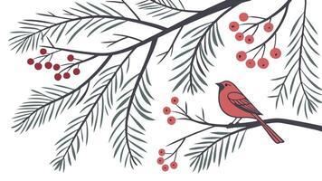 A red bird sits on a branch of a pine tree vector