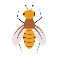 Bee in flat style on an isolated white background. vector
