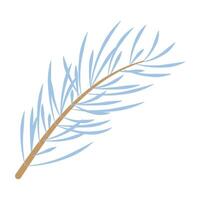Blue spruce.Fir branch.Design element for Christmas and New Year. vector