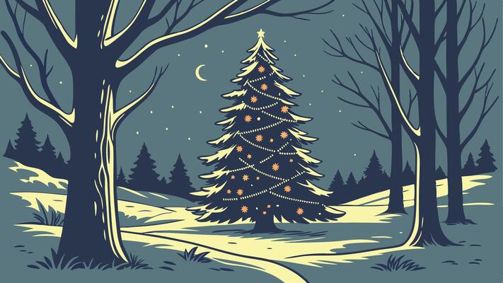 Christmas tree in the forest at night