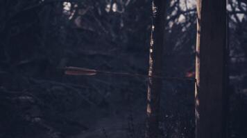 An arrow embedded in a wooden post amidst a dark forest setting video