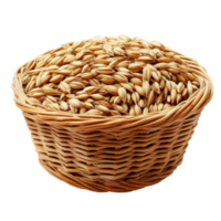 Barley grains piled high in a woven basket against a minimalist transparent background for culinary use, Barley Grains in the basketisolated on transparent background png