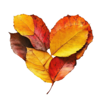 Autumn leaves arranged in a heart shape on a transparent background for a seasonal display, Autumn leaf heart shape on transparent background png