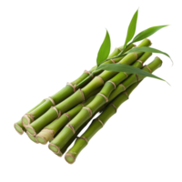 Fresh bamboo shoots on a transparent background showcasing their vibrant green color and natural texture, Bamboo shootsisolated on transparent background png