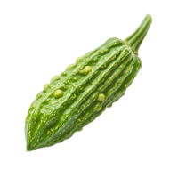 Bitter gourd on a clean transparent background showcasing its unique texture and shape for culinary and health uses, Bitter gourd isolated on transparent background png