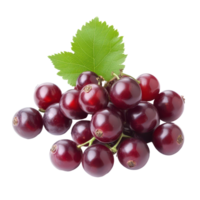 Fresh bengal currants and carandas plums displayed against a clean transparent background with green leaves visible, bengal-currants, carandas-plum,isolated on transparent background png
