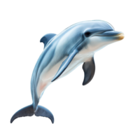 Adorable dolphin jumping gracefully on a transparent background, showcasing its playful nature and charm, Adorable dolphin isolated on transparent background png
