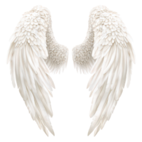 Realistic angel wings design on a transparent background, perfect for creative projects and inspirational themes, Angel Wings - transparent background realistic, transparent background. png