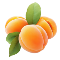 Fresh apricots isolated on a transparent background highlighting their vibrant color and natural texture, apricotisolated on transparent background png