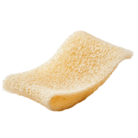 Close-up view of an angled loofah slice isolated against a clean transparent background, Angled loofah slice isolate on transparent background png