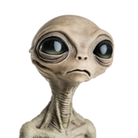 Unique alien extraterrestrial creature isolated on a transparent background displaying large eyes and a slender body, Alien Extraterrestrial Creatures Isolated on transparent background png