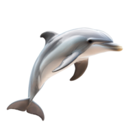 Adorable dolphin swimming gracefully against a clean transparent background in a serene and peaceful setting, Adorable dolphin isolated on transparent background png