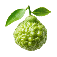 Fresh bergamot lime with a drop of water showcasing its textured skin against a transparent background, Bergamot or Thai lime with drop of water isolated on transparent background png