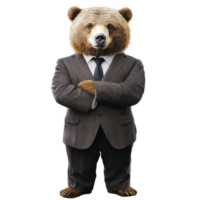 An authoritative bear boss confidently poses in business attire against a transparent background, showcasing leadership, Authoritative Bear Boss in Business Attire On transparent background png
