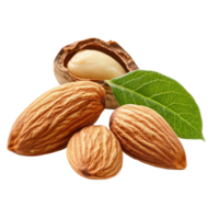 Almonds with green leaf isolated on a transparent background, showcasing their natural texture and form, almonds with leaf isolated on transparent background png