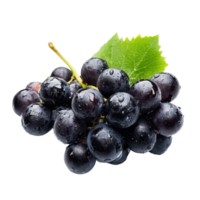 Fresh black grapes with water droplets isolated on a clean transparent background showcasing their rich color and texture, Black grapes with drop of water isolated on transparent background png