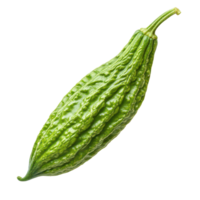 Fresh bitter melon on a clean transparent background highlighting its distinct texture and shape for culinary use, Bitter melon on transparent background png